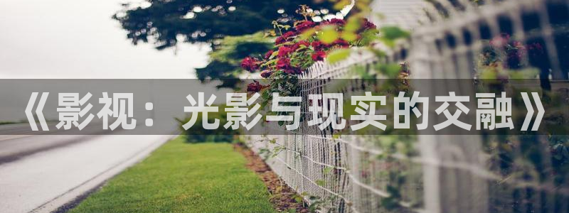 yy青苹果影院：《影视：光影与现实的交融》